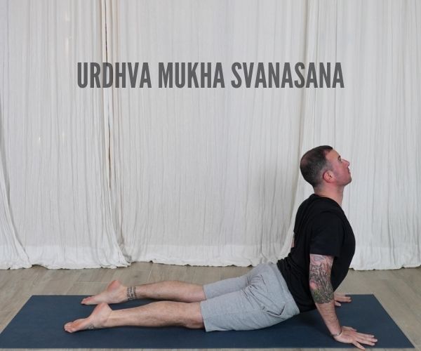 URDHVA MUKHA SVANASANA