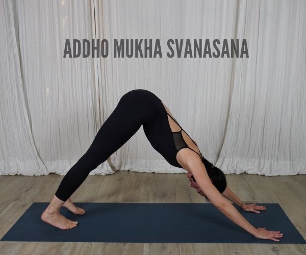 ADDHO MUKHA SVANASANA-PERRO BOCA ABAJO