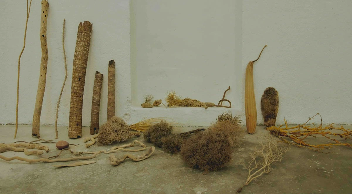 Ramas, cortezas y fibras naturales en un rincón del estudio